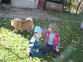 20101031 009